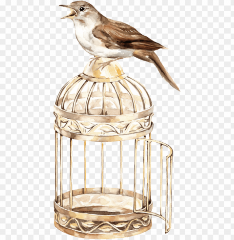 bird cage transparent ClearCut Background Isolated PNG Art