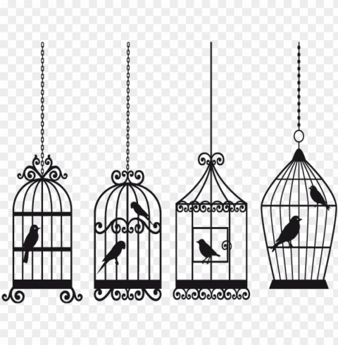  - bird cage vector Alpha channel transparent PNG PNG transparent with Clear Background ID c3513b11