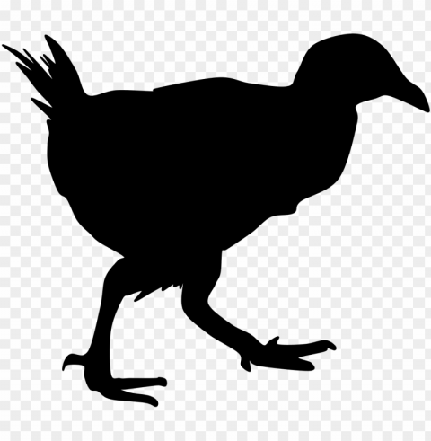 bird clipart pukeko - new zealand bird silhouettes Clear PNG pictures free