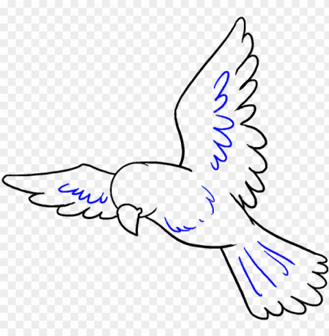 bird easy to draw PNG for web design