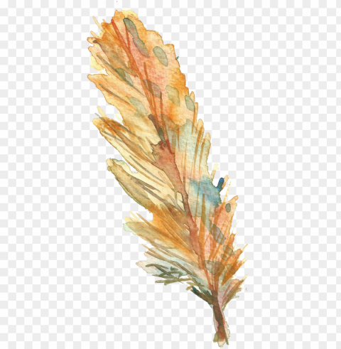 bird feather drawing - feather Free download PNG images with alpha channel