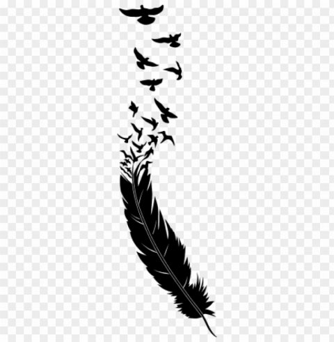 Bird Feather Tattoo Clear Background PNG Isolated Graphic Design