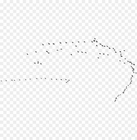bird flock - flock Transparent Background Isolated PNG Illustration