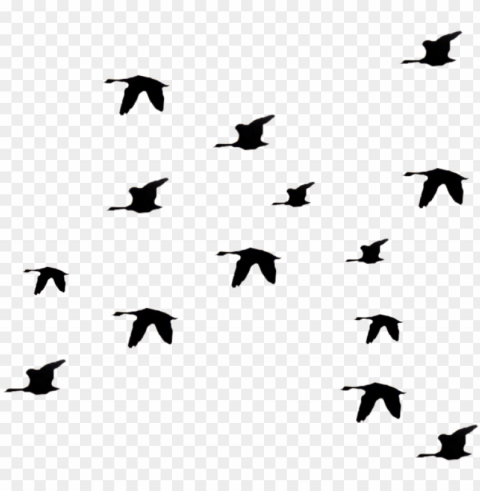 bird fly clipart li ry - silhouette birds flying away PNG images with no watermark