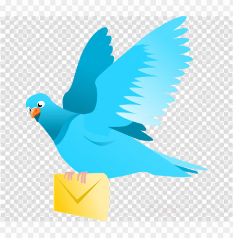 Bird Flying Transparent Background PNG Isolated Item