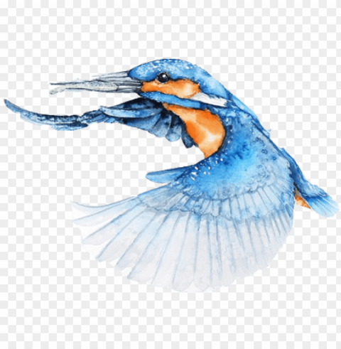 Bird Flying Watercolor Transparent PNG Images Complete Library