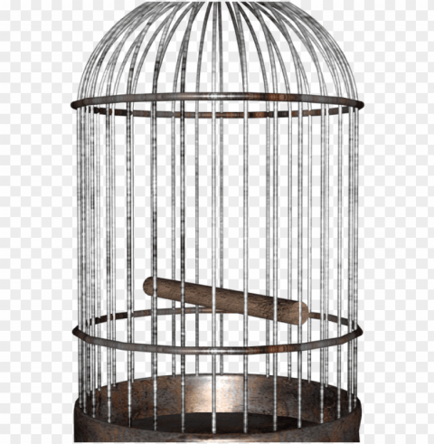 bird in a cage Transparent PNG images complete library
