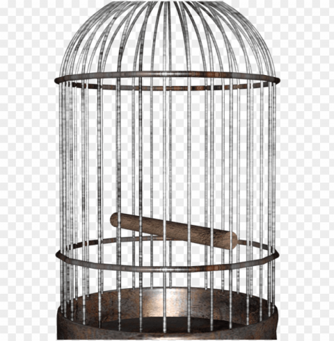 bird in a cage Transparent PNG images complete library PNG transparent with Clear Background ID 77167c12