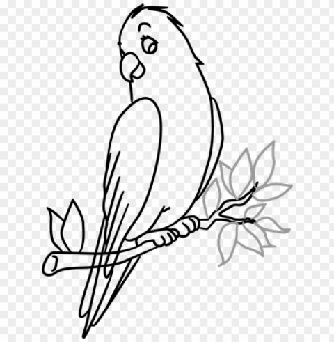 bird in a tree drawing PNG without background PNG transparent with Clear Background ID 6e8d720c