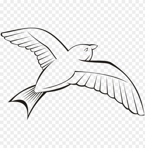 bird in flight 6 - outline image of bird Transparent Background PNG Object Isolation