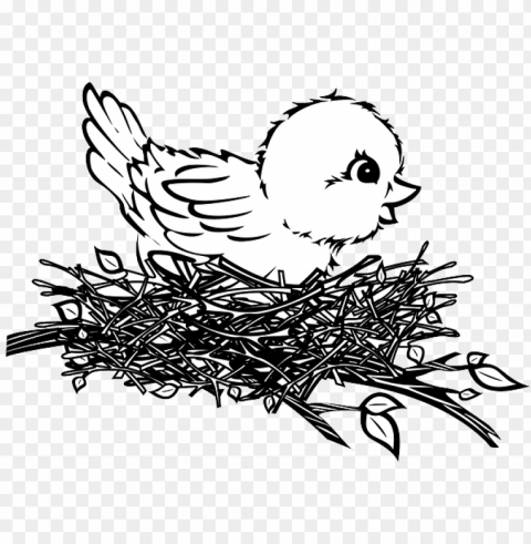 bird in nest Transparent PNG images for graphic design