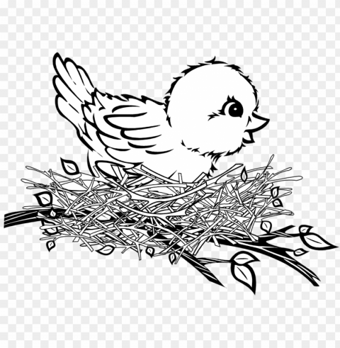 bird in nest Transparent PNG images for printing