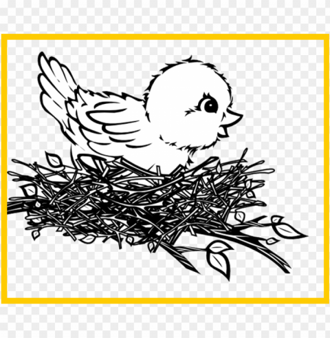 bird in nest Transparent PNG images free download