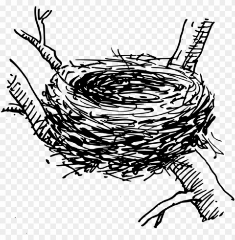 bird nest computer icons egg - crow nest clipart Clear PNG pictures broad bulk