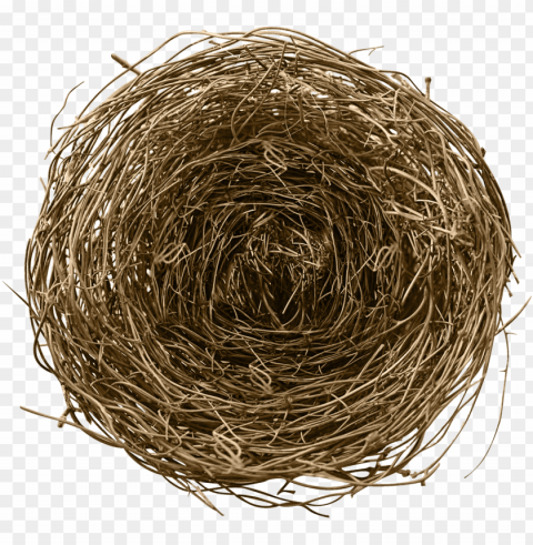 bird nest - bird Free PNG images with transparency collection