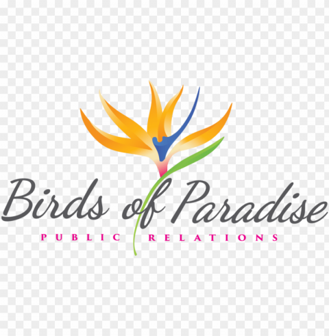 Bird Of Paradise PNG High Resolution Free