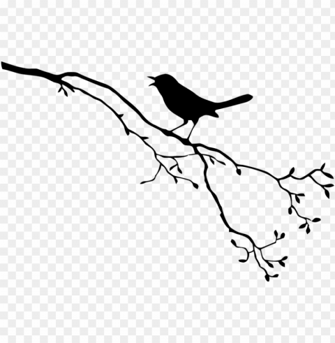 bird on branch silhouette PNG transparent design bundle PNG transparent with Clear Background ID b1dce8f6