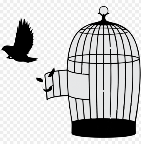 bird out cage Transparent PNG Isolation of Item