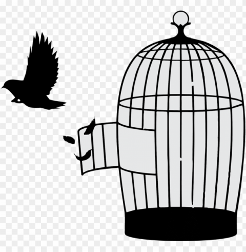 bird out cage Transparent PNG Isolation of Item PNG transparent with Clear Background ID 290f0fe1