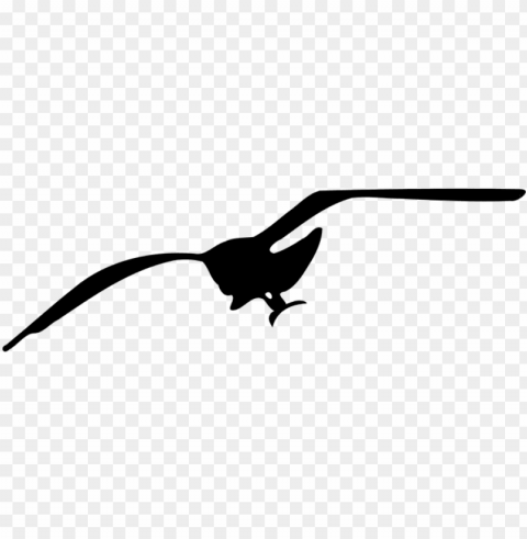bird seagull silhouette fly flying seagull - seagull clip art PNG with transparent bg