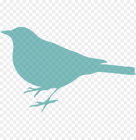 bird silhouette PNG design PNG transparent with Clear Background ID dd1c19ce