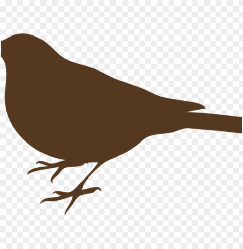 bird silhouette clip art Isolated Subject in HighResolution PNG