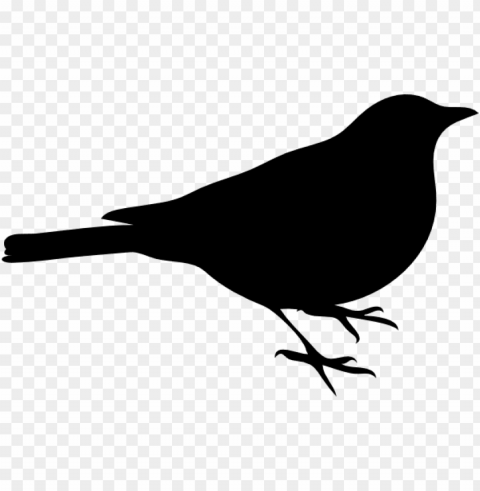 bird silhouette clip art - bird is the word sticker PNG with Isolated Transparency