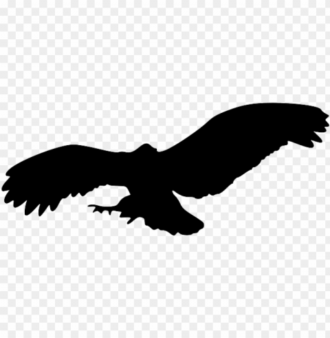 bird silhouette eagle - owl flying silhouette Isolated Character with Clear Background PNG