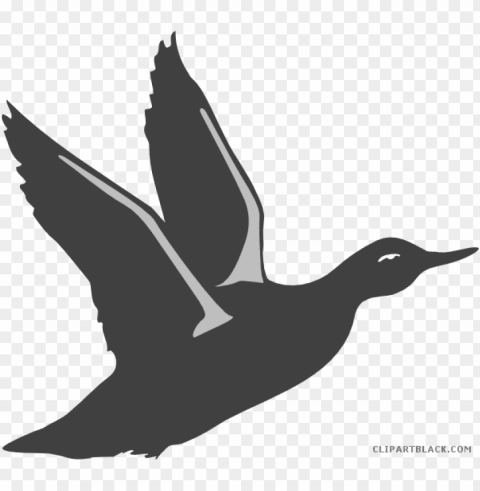 bird taking off PNG images without BG PNG transparent with Clear Background ID 229024ba