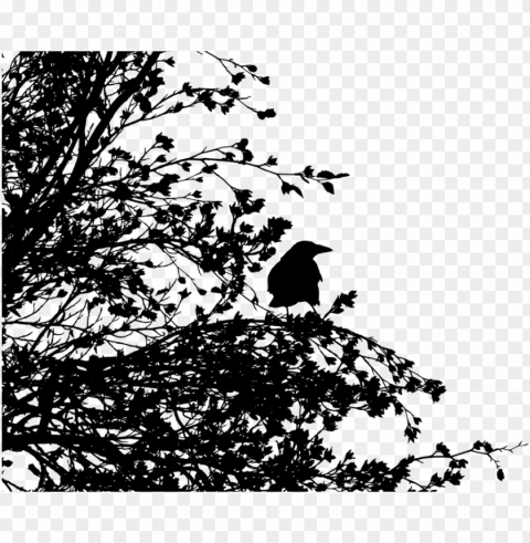 bird tree common raven crow family silhouette - disintegration effect black and white PNG Graphic with Transparent Isolation