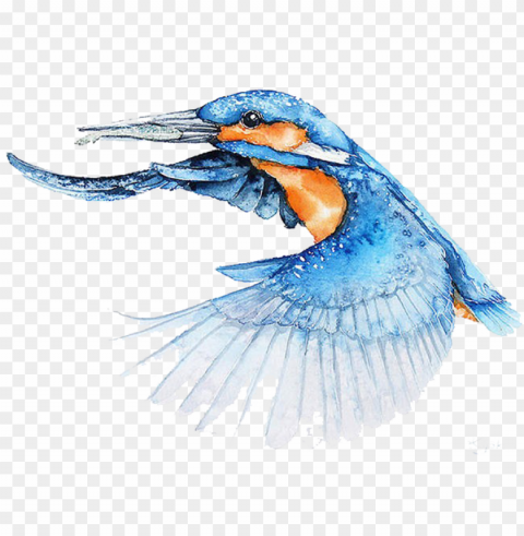 bird watercolor painting architect illustrator - bird flying watercolor PNG Image with Transparent Cutout