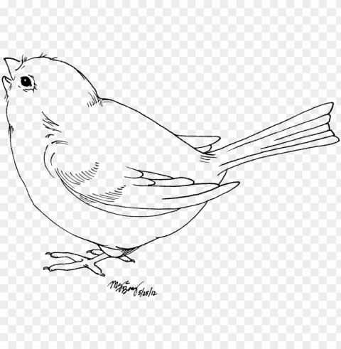 bird white and black Transparent PNG pictures archive