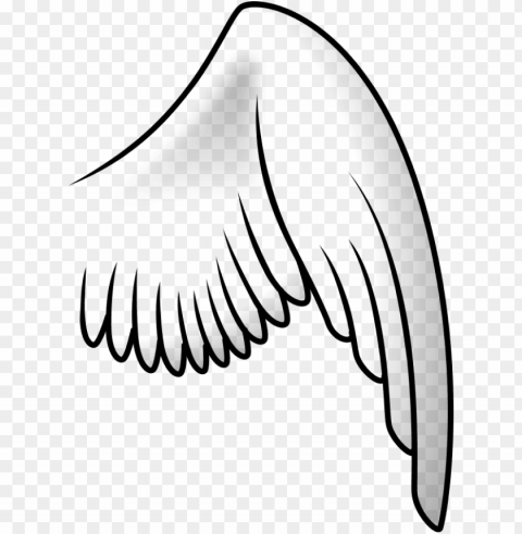bird wing PNG images no background PNG transparent with Clear Background ID edfae872