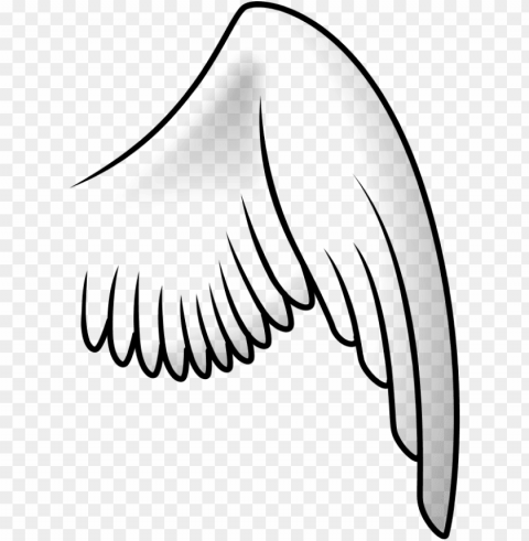 Bird Wing PNG Images No Background