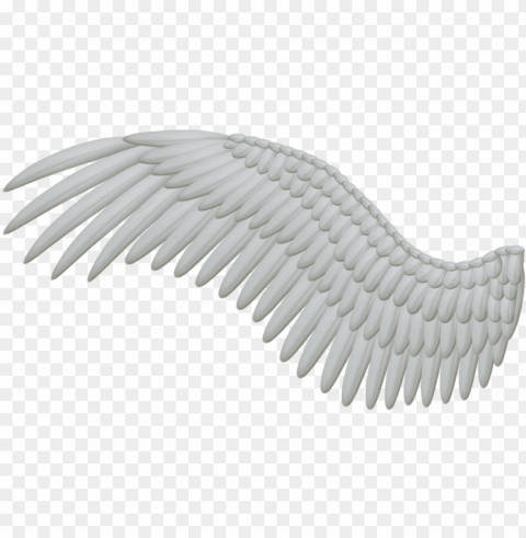 bird wings PNG images for printing