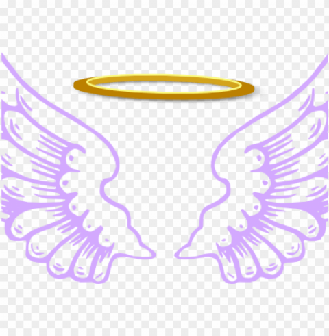 Bird Wings PNG Images With No Background Essential