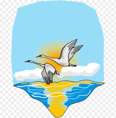 birds flying over the sea PNG transparent photos for design
