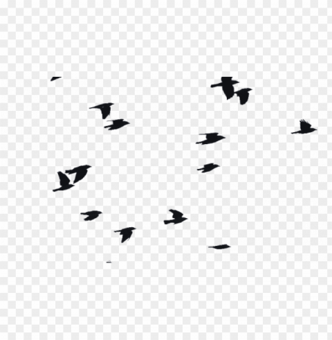 birds flying bird images vectors and psd files - flock birds flying PNG with transparent background for free