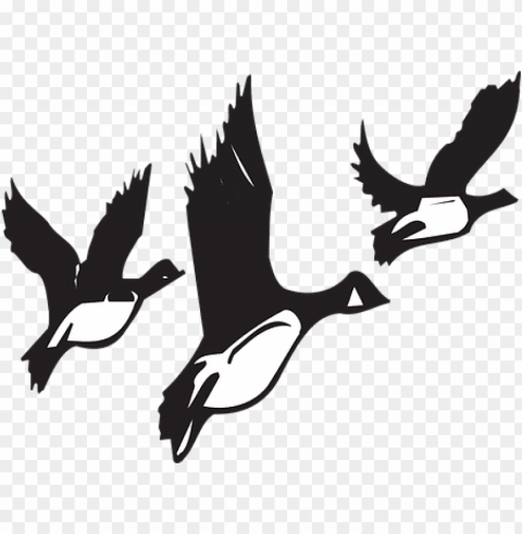 Birds Migrating Black And White Clean Background Isolated PNG Design