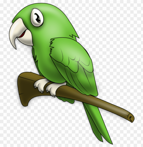 birds name in telugu PNG images with alpha background