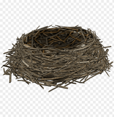 birds nest Transparent Background PNG Isolated Design