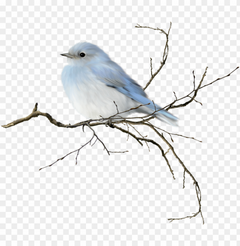 birds on branch watercolor Transparent PNG images collection PNG transparent with Clear Background ID a2e00d42