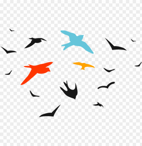 birds vector - bird vector Transparent Background Isolated PNG Illustration
