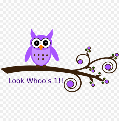 Birthdayowl Isolated Artwork On Clear Transparent PNG