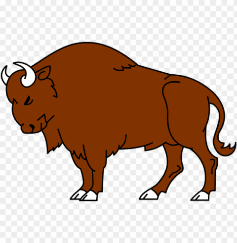 bison animal wild buffalo wildlife america - bison clipart High-resolution PNG images with transparent background