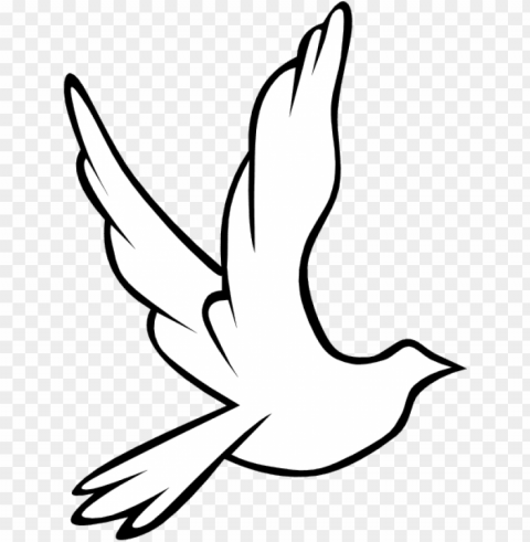 black and white flying birds Clear PNG