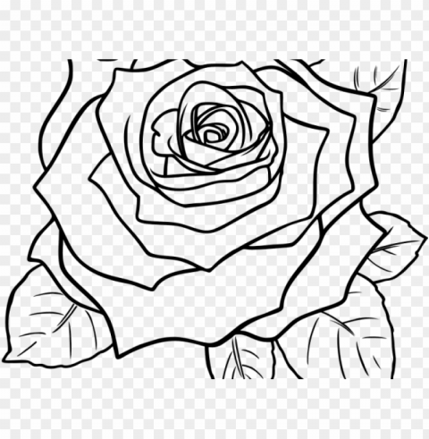 black and white rose clipart - black and white rose Isolated Graphic on HighQuality PNG
