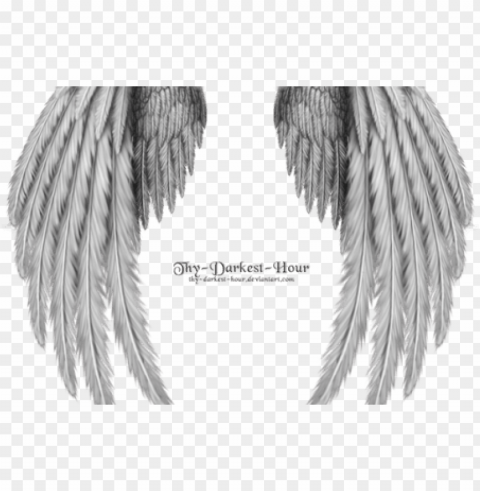 black and white stock angels vector realistic - realistic angel wings drawi Isolated Item on HighQuality PNG