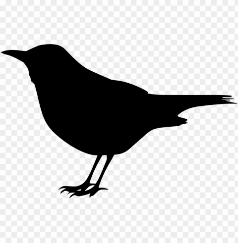 black bird Clean Background PNG Isolated Art PNG transparent with Clear Background ID 0f2d4cf5