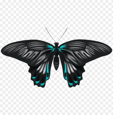 black blue butterfly clip art image - black butterfly clipart Transparent Background Isolation of PNG